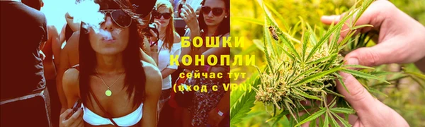 трава Алексин