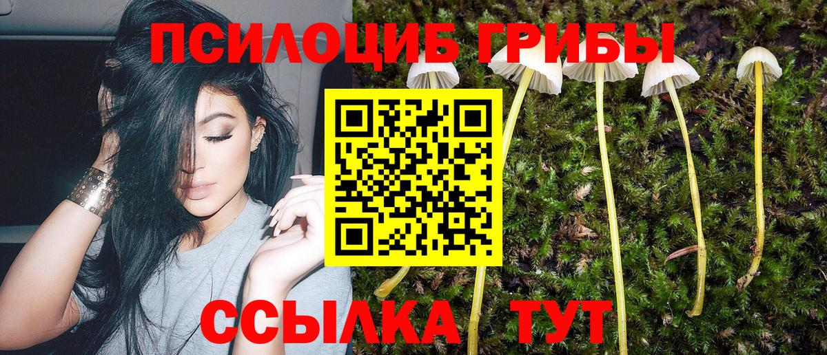 Галлюциногенные грибы Magic Shrooms  Псилоцибиновые грибы мухоморы  Луга  Вход с VPN 